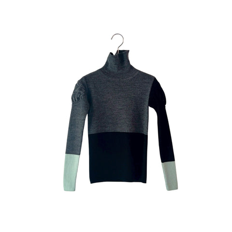 frankygrow/フランキーグロウ  MULTI COLOR SWELL SHOULDER HIGHNEC KNIT（DGRAY）25FWKTTO-135