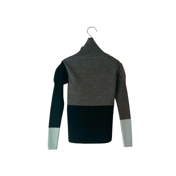 frankygrow/Frankygrow MULTI COLOR SWELL SHOULDER HIGHNEC KNIT (DGRAY) 25FWKTTO-135